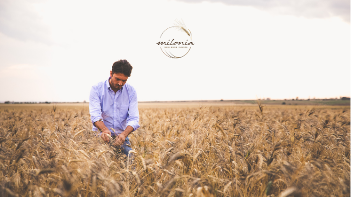 triticum micropanificio agricolo i nostri fornitori milonia